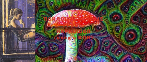ПСИЛОЦИБИНОВЫЕ ГРИБЫ Беломорск